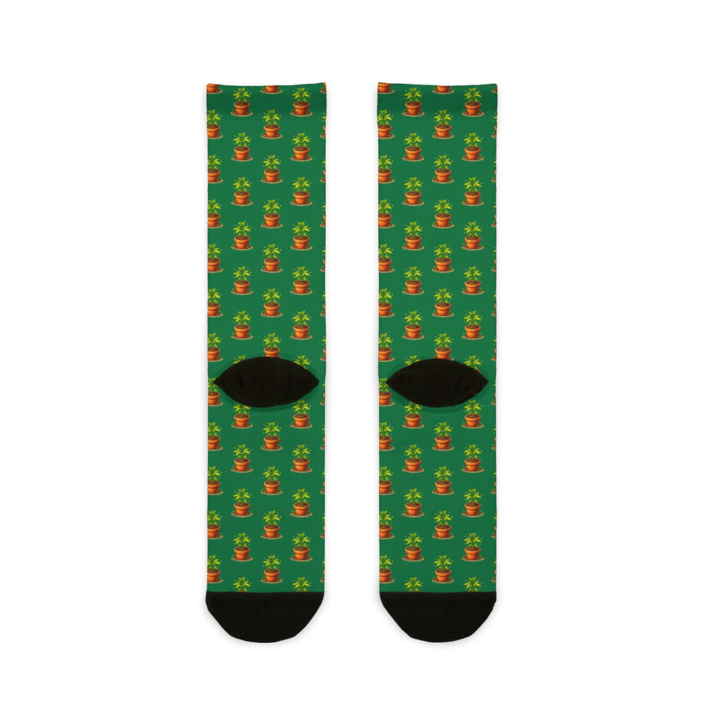 Baby marijuana plant socks