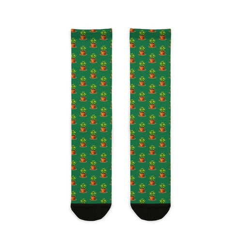 Baby marijuana plant socks